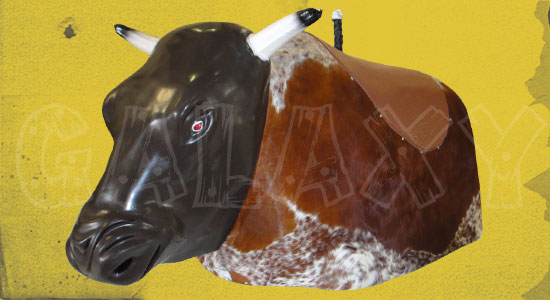 Mechanical Riding Bulls for sale