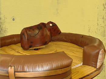 Mechanical Riding Bulls for sale