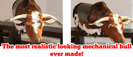 Mechanical Riding Bulls for Sale