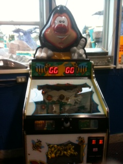 Family Fun Center Equipment For Sale