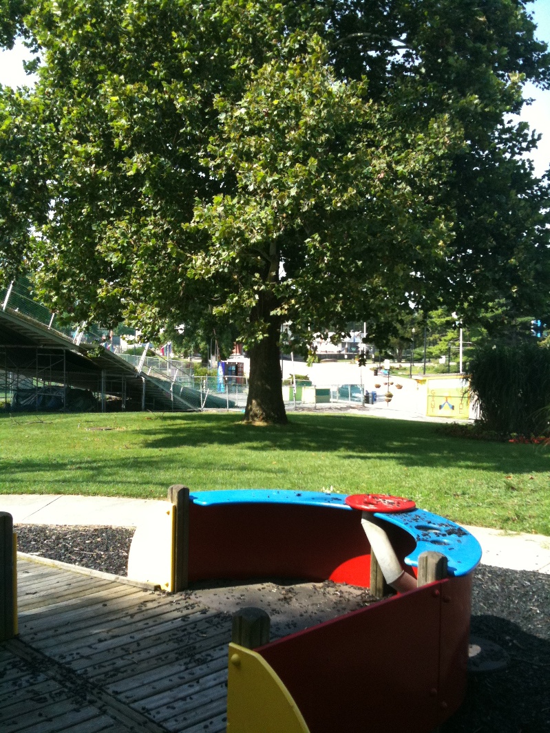 Used Giant Slide For Sale